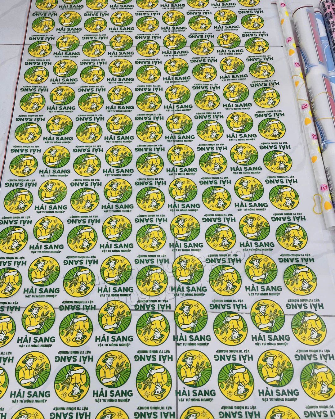 in logo pet áo thun